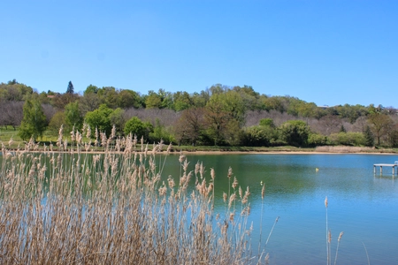 Le plan d'eau